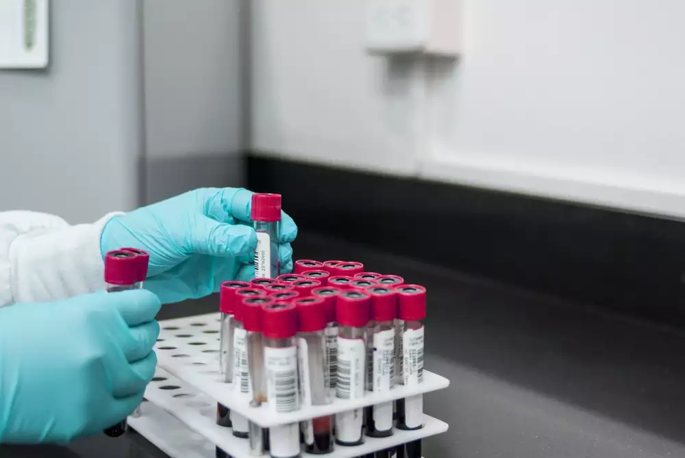 Lab In