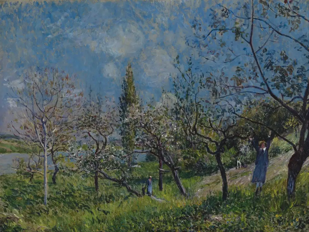 Sisley